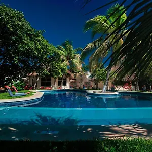hotel-paradise-suites.quintano-roohotels.com/